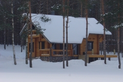 Rąstinis namas