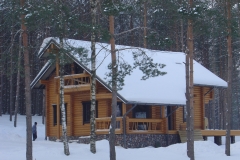 Rąstinis namas