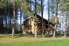 Rąstinis namas