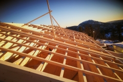 Medinės konstrukcijos stogas